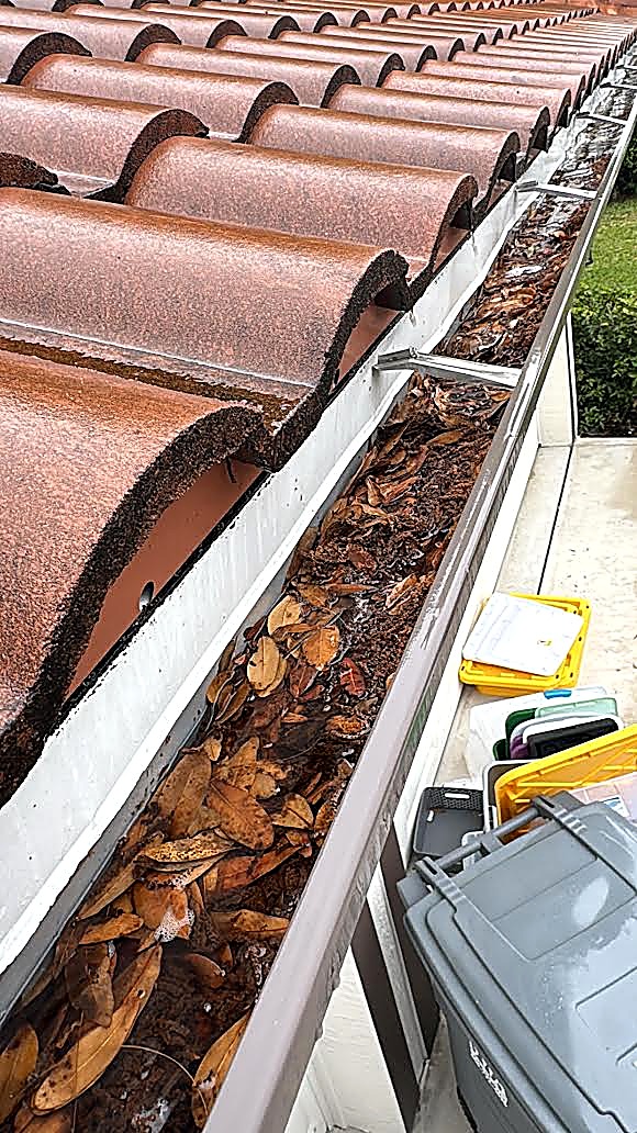 Leaf-packed tile roof gutter being cleared out by hand